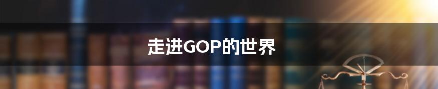 走进GOP的世界