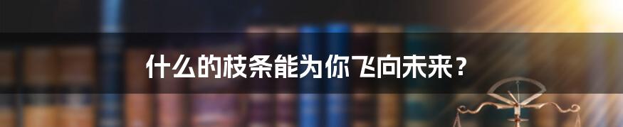 什么的枝条能为你飞向未来？