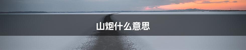 山炮什么意思