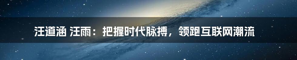 汪道涵 汪雨：把握时代脉搏，领跑互联网潮流