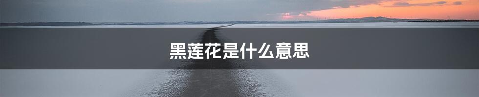 黑莲花是什么意思