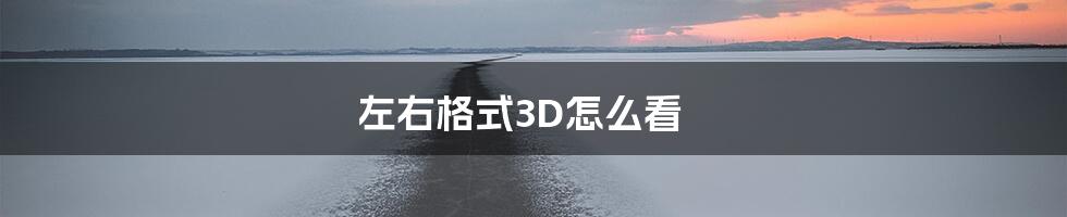 左右格式3D怎么看