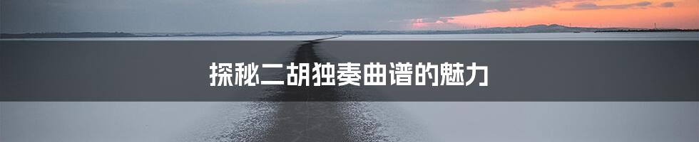 探秘二胡独奏曲谱的魅力