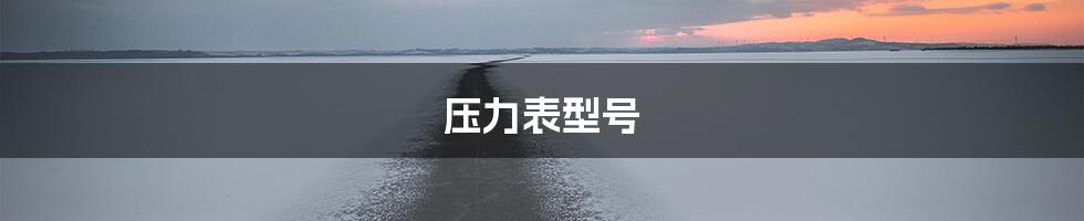 压力表型号