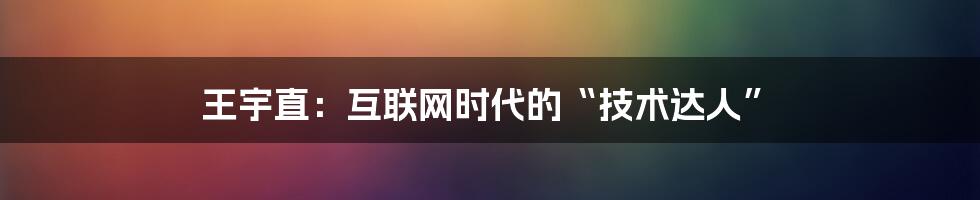 王宇直：互联网时代的“技术达人”