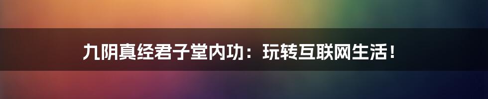 九阴真经君子堂内功：玩转互联网生活！