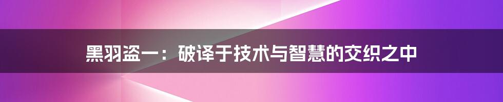 黑羽盗一：破译于技术与智慧的交织之中