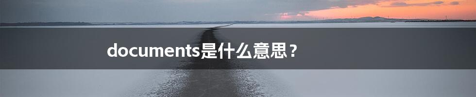 documents是什么意思？