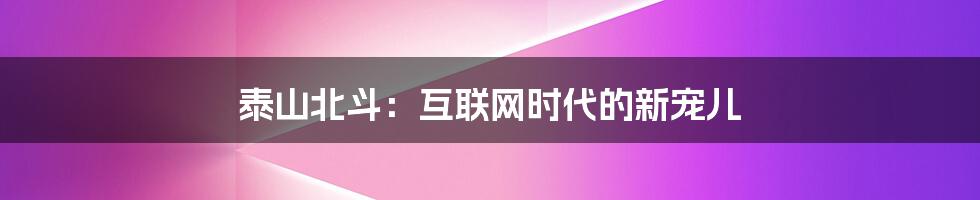 泰山北斗：互联网时代的新宠儿