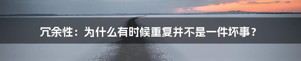 冗余性：为什么有时候重复并不是一件坏事？