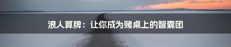 浪人算牌：让你成为赌桌上的智囊团