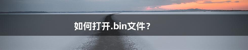 如何打开.bin文件？