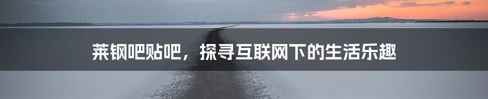 莱钢吧贴吧，探寻互联网下的生活乐趣