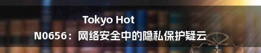 Tokyo Hot N0656：网络安全中的隐私保护疑云