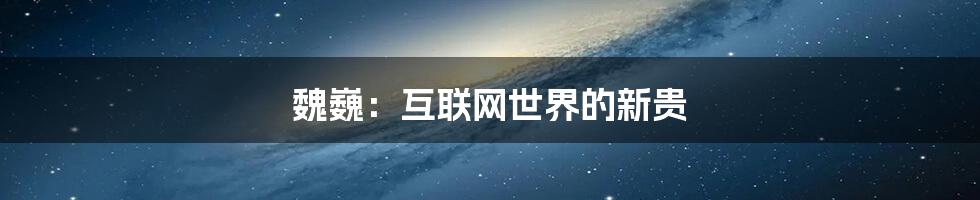 魏巍：互联网世界的新贵