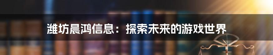 潍坊晨鸿信息：探索未来的游戏世界