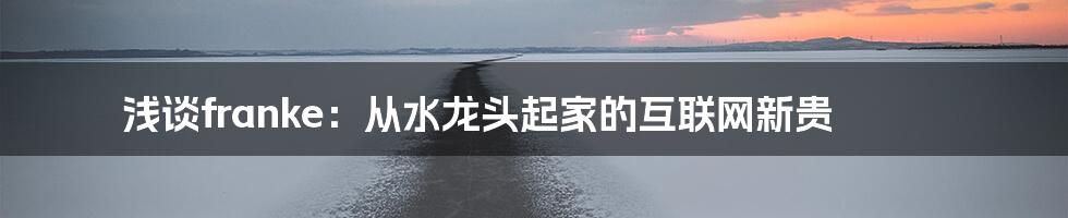 浅谈franke：从水龙头起家的互联网新贵