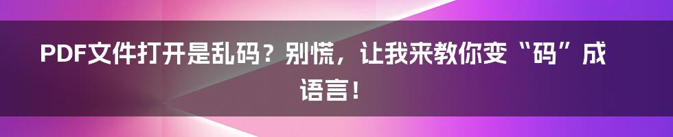 PDF文件打开是乱码？别慌，让我来教你变“码”成语言！