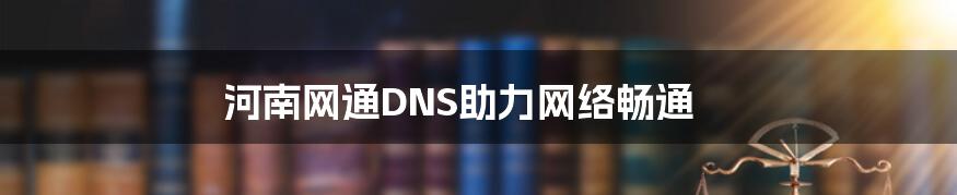 河南网通DNS助力网络畅通