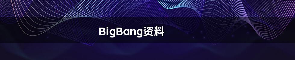 BigBang资料