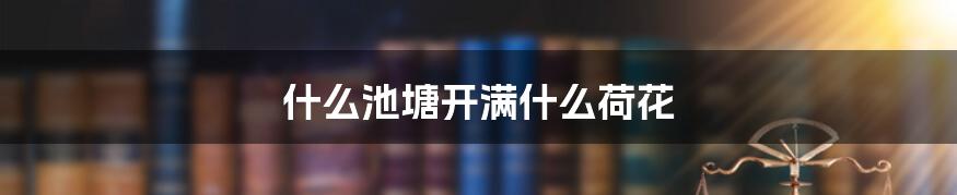 什么池塘开满什么荷花