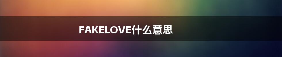 FAKELOVE什么意思