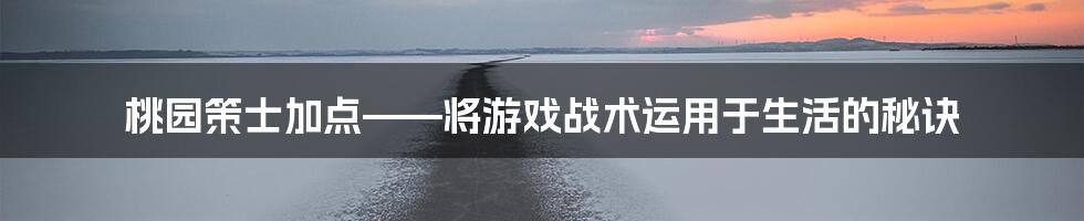 桃园策士加点——将游戏战术运用于生活的秘诀