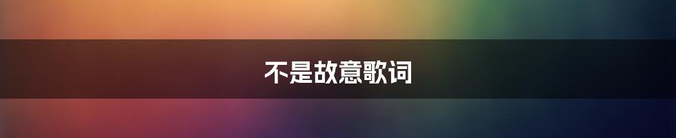 不是故意歌词