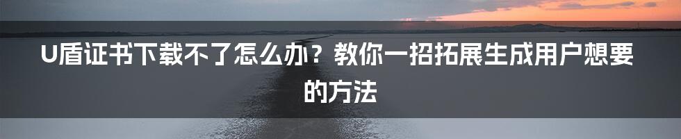 U盾证书下载不了怎么办？教你一招拓展生成用户想要的方法