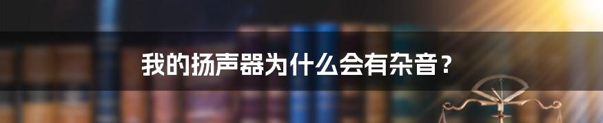 我的扬声器为什么会有杂音？