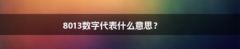 8013数字代表什么意思？