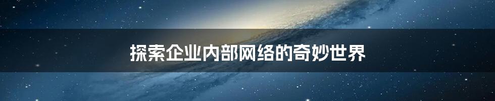 探索企业内部网络的奇妙世界