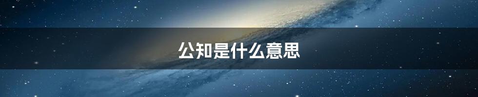 公知是什么意思