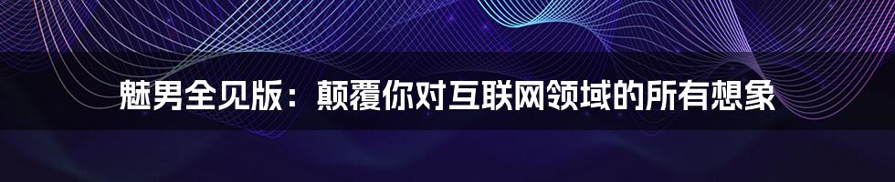 魅男全见版：颠覆你对互联网领域的所有想象