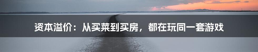 资本溢价：从买菜到买房，都在玩同一套游戏