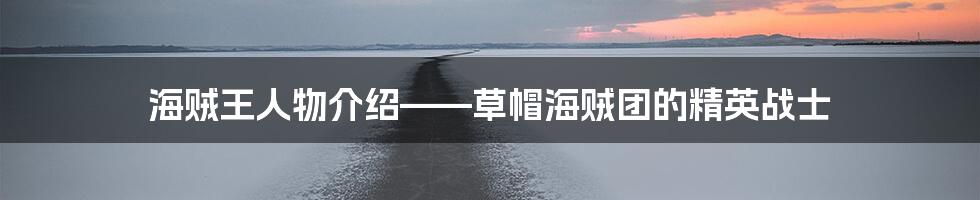 海贼王人物介绍——草帽海贼团的精英战士