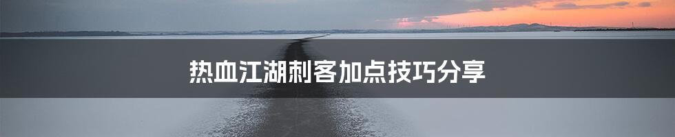 热血江湖刺客加点技巧分享