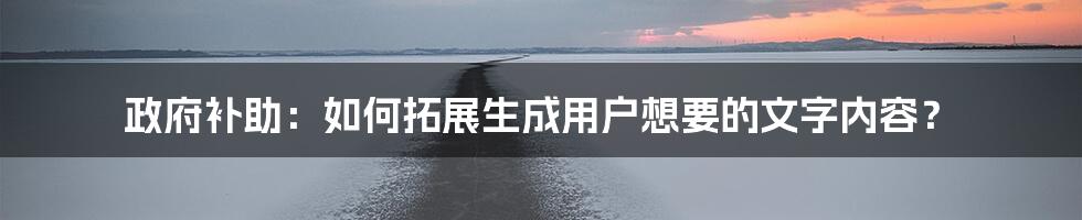 政府补助：如何拓展生成用户想要的文字内容？