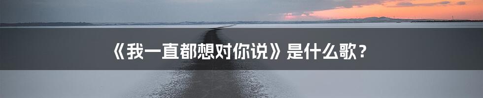 《我一直都想对你说》是什么歌？