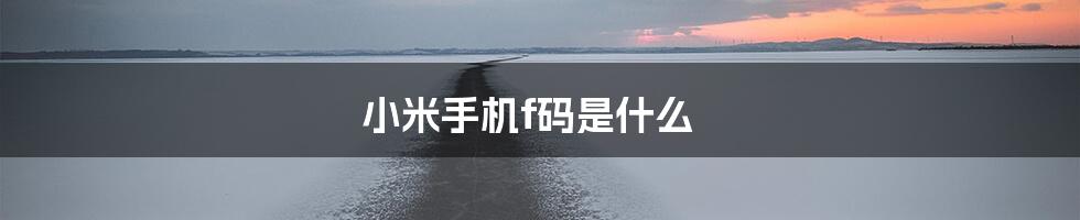 小米手机f码是什么