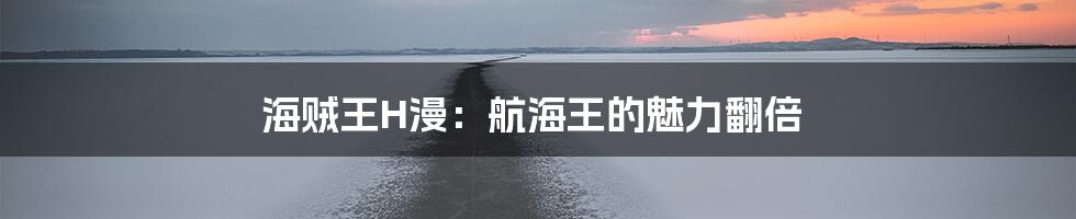 海贼王H漫：航海王的魅力翻倍