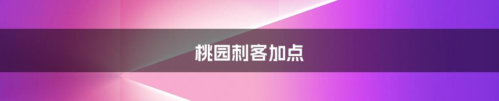 桃园刺客加点