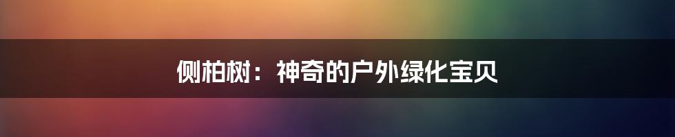 侧柏树：神奇的户外绿化宝贝