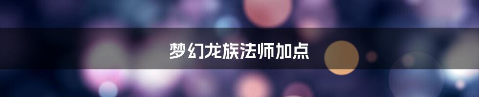 梦幻龙族法师加点