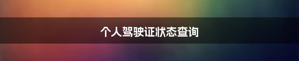 个人驾驶证状态查询