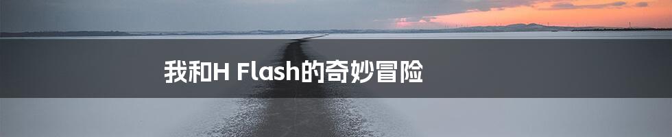 我和H Flash的奇妙冒险