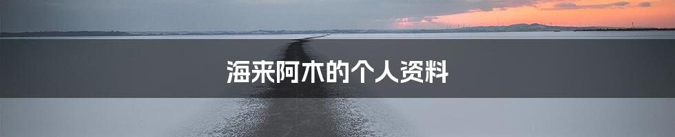 海来阿木的个人资料