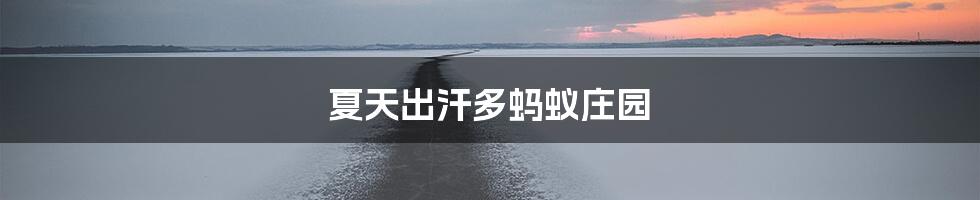 夏天出汗多蚂蚁庄园