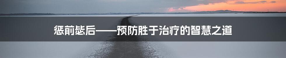 惩前毖后——预防胜于治疗的智慧之道