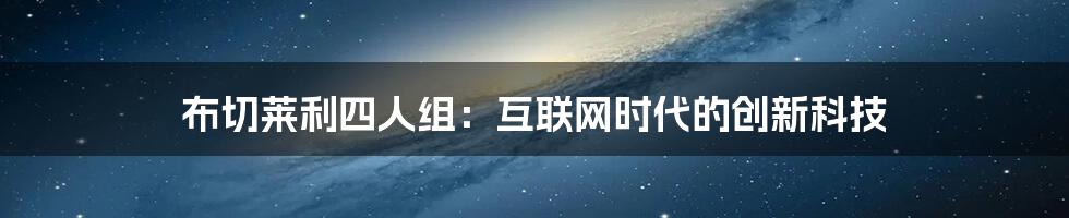 布切莱利四人组：互联网时代的创新科技